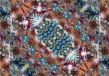 躺平导致用户不满 TwitchCon将重新执行防疫政策